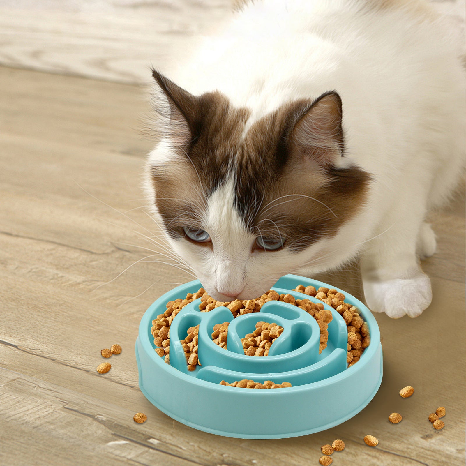  Anti-Choke Slow Feeder Bowl for Dogs & Cats 2