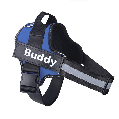 No-Pull Personalized Dog Harness with Custom Name Patch blue
