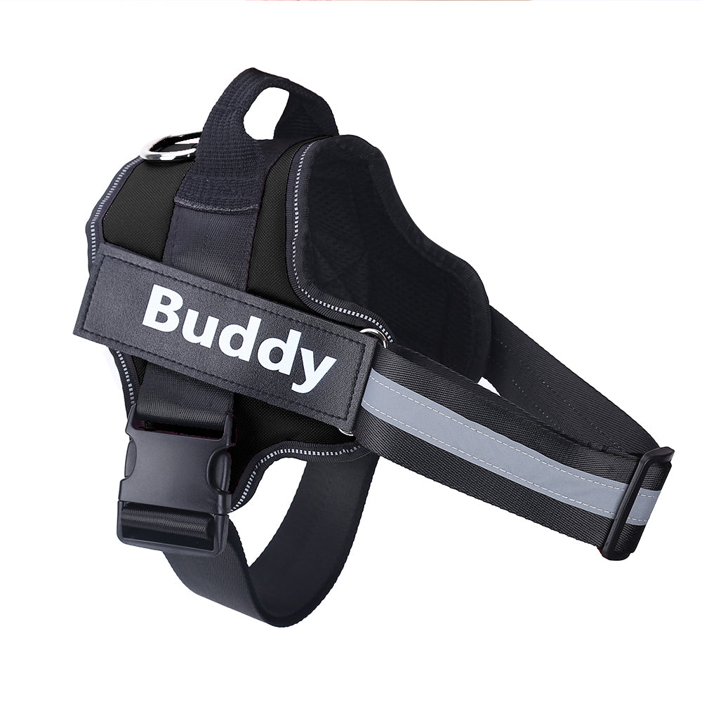 No-Pull Personalized Dog Harness with Custom Name Patch green