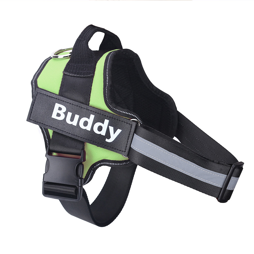No-Pull Personalized Dog Harness with Custom Name Patch green 3