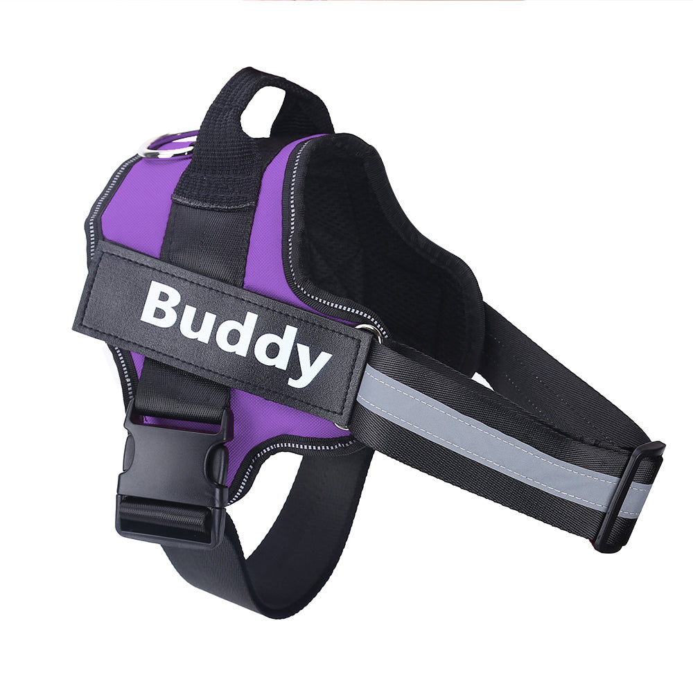 No-Pull Personalized Dog Harness with Custom Name Patch purple